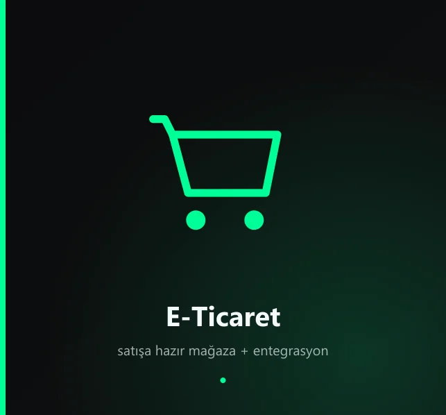 E-Ticaret